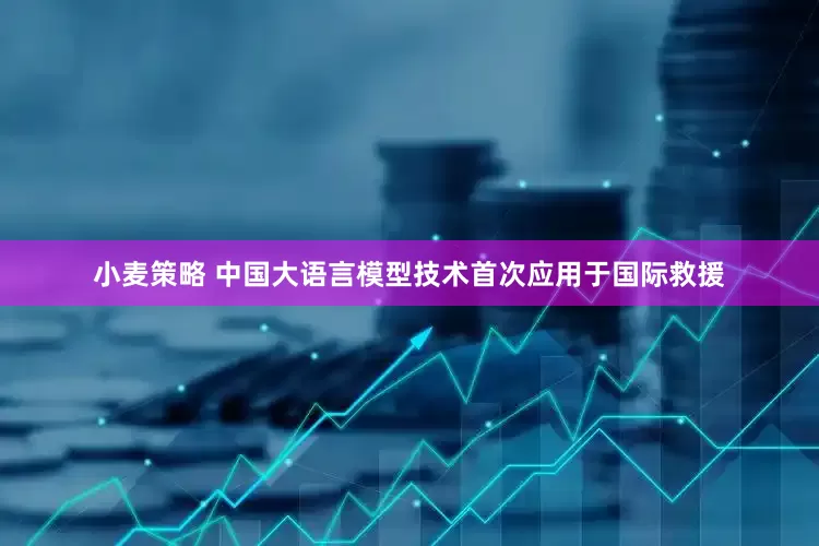 小麦策略 中国大语言模型技术首次应用于国际救援