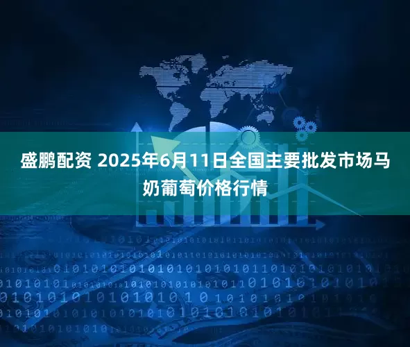 盛鹏配资 2025年6月11日全国主要批发市场马奶葡萄价格行情