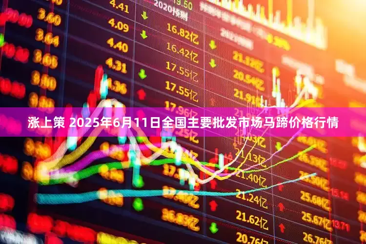涨上策 2025年6月11日全国主要批发市场马蹄价格行情