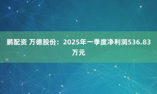 鹏配资 万德股份：2025年一季度净利润536.83万元